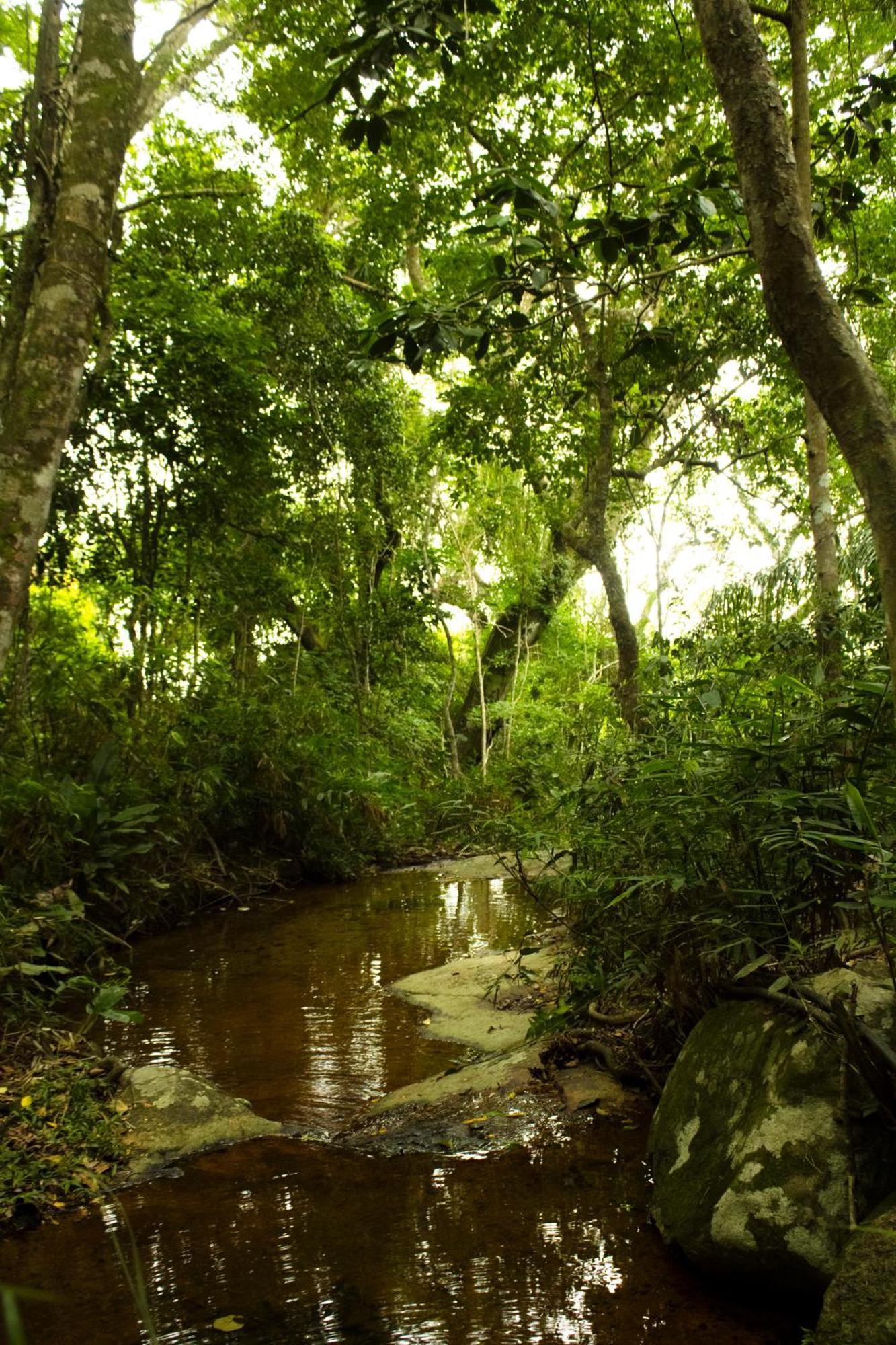 Soluna Hospedagem Familiar - Diarias De Acomodacoes Unicas Флорианополис Экстерьер фото